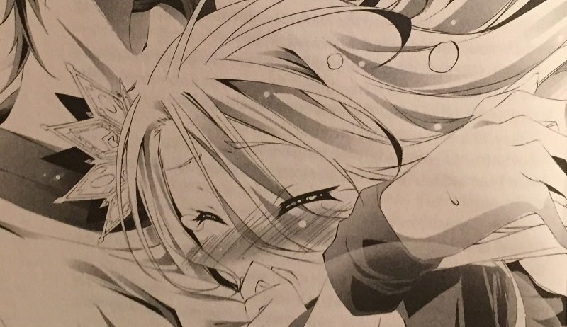 Illustration for article titled No Game No Life Vol. 3 - Light Novel Review
